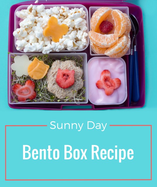 bento box recipe
