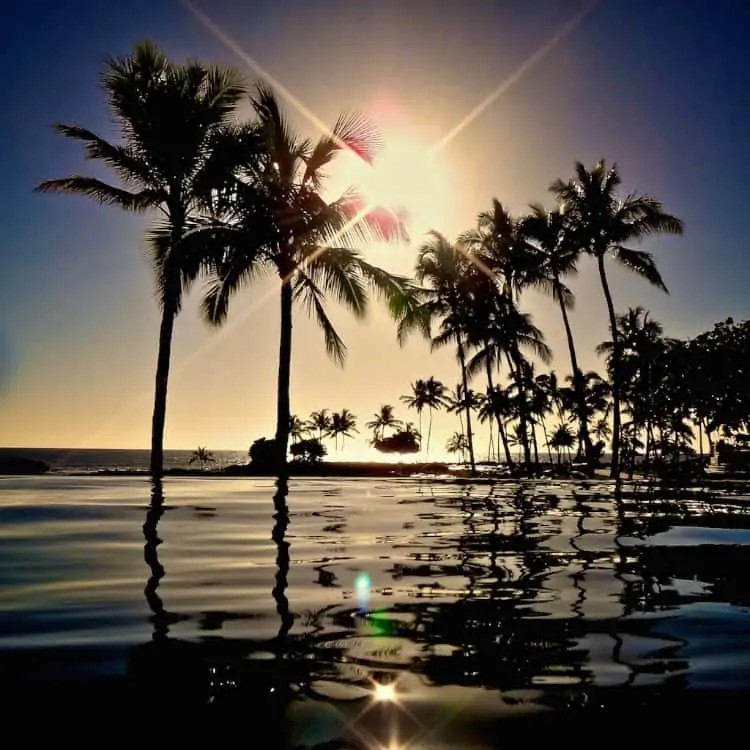 aulani sunset hawaii palm trees