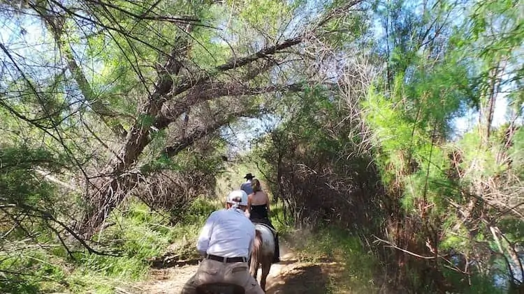 horseback riding in arizona 10