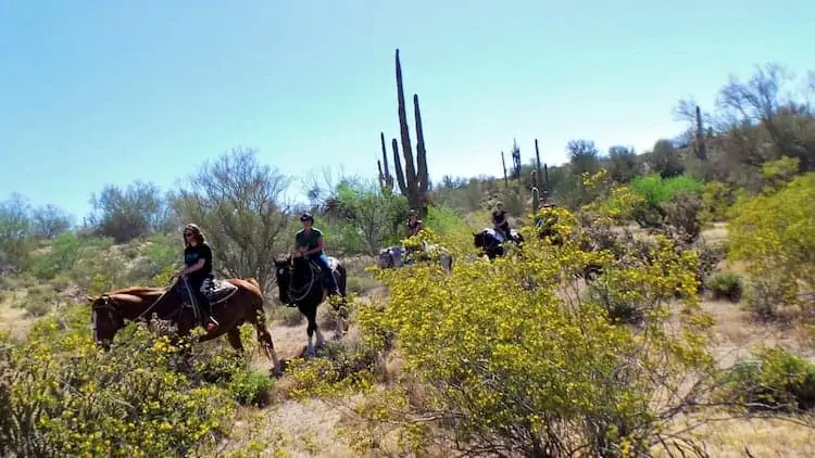horseback riding in arizona 8
