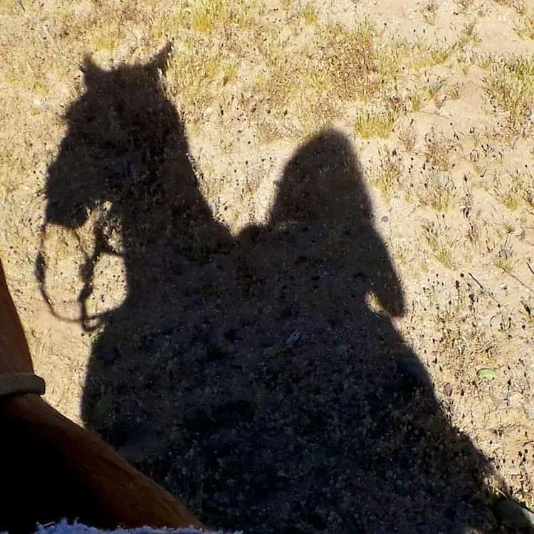 horseback riding in arizona 9