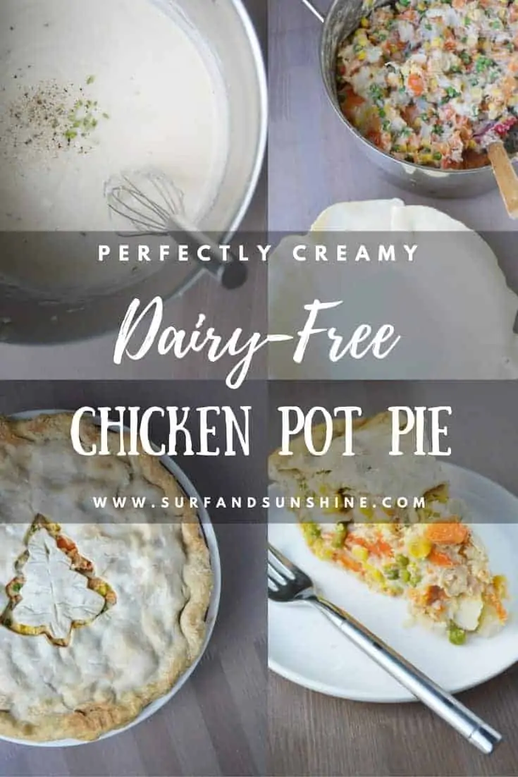 perfectly creamy dairy free chicken pot pie recipe