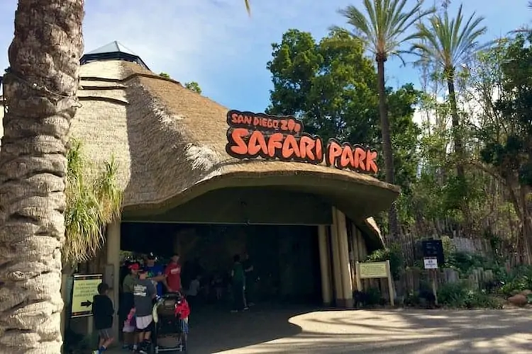 san diego zoo safari park 2