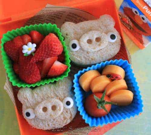 Cute Animal Sandwich Bento