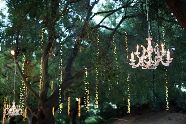 Lights in the Trees