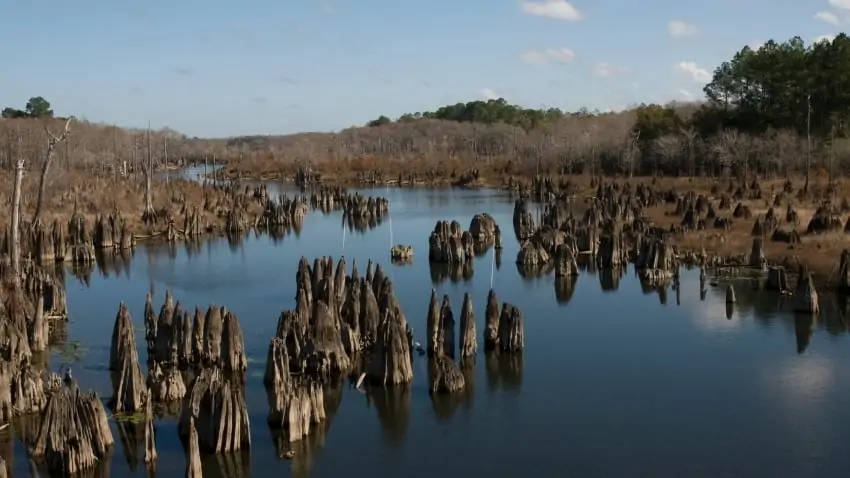 dead lakes gulf county florida