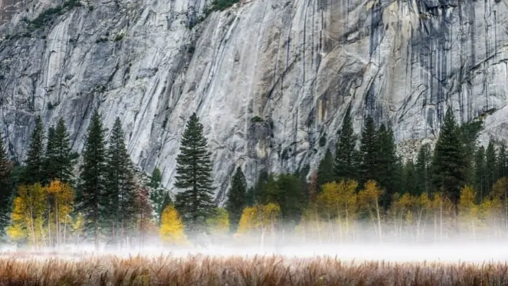 Yosemite National Park fog