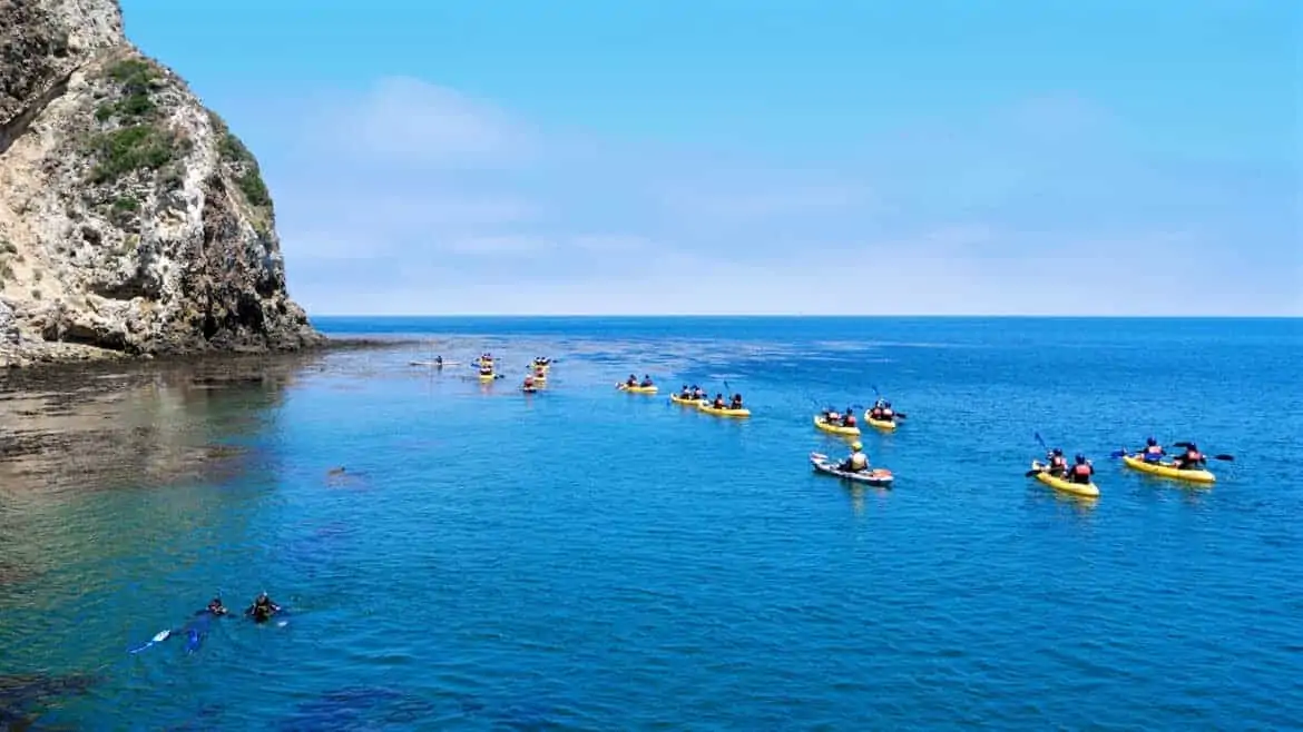 Channel Islands Ocean Kayakers Santa Barbara Weekend Ideas