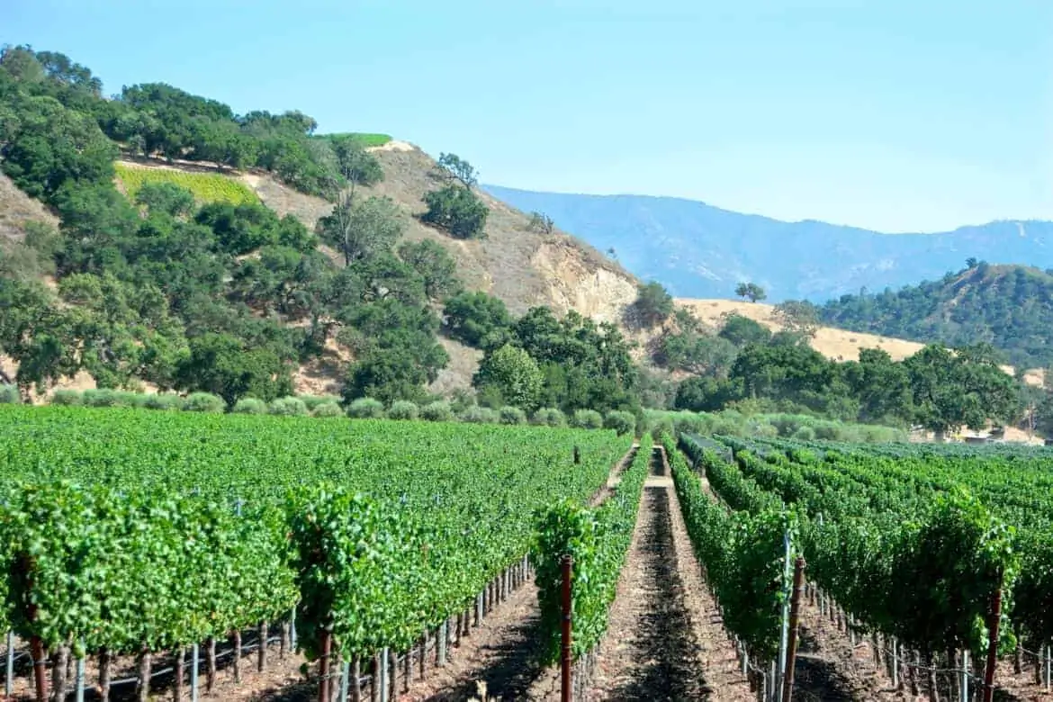 Santa Barbara Weekend Ideas Winery Grassini Vineyards