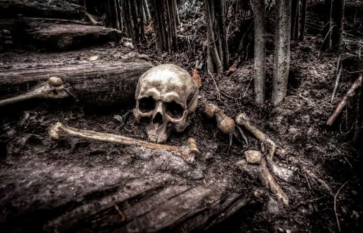 skull and bones in the woods