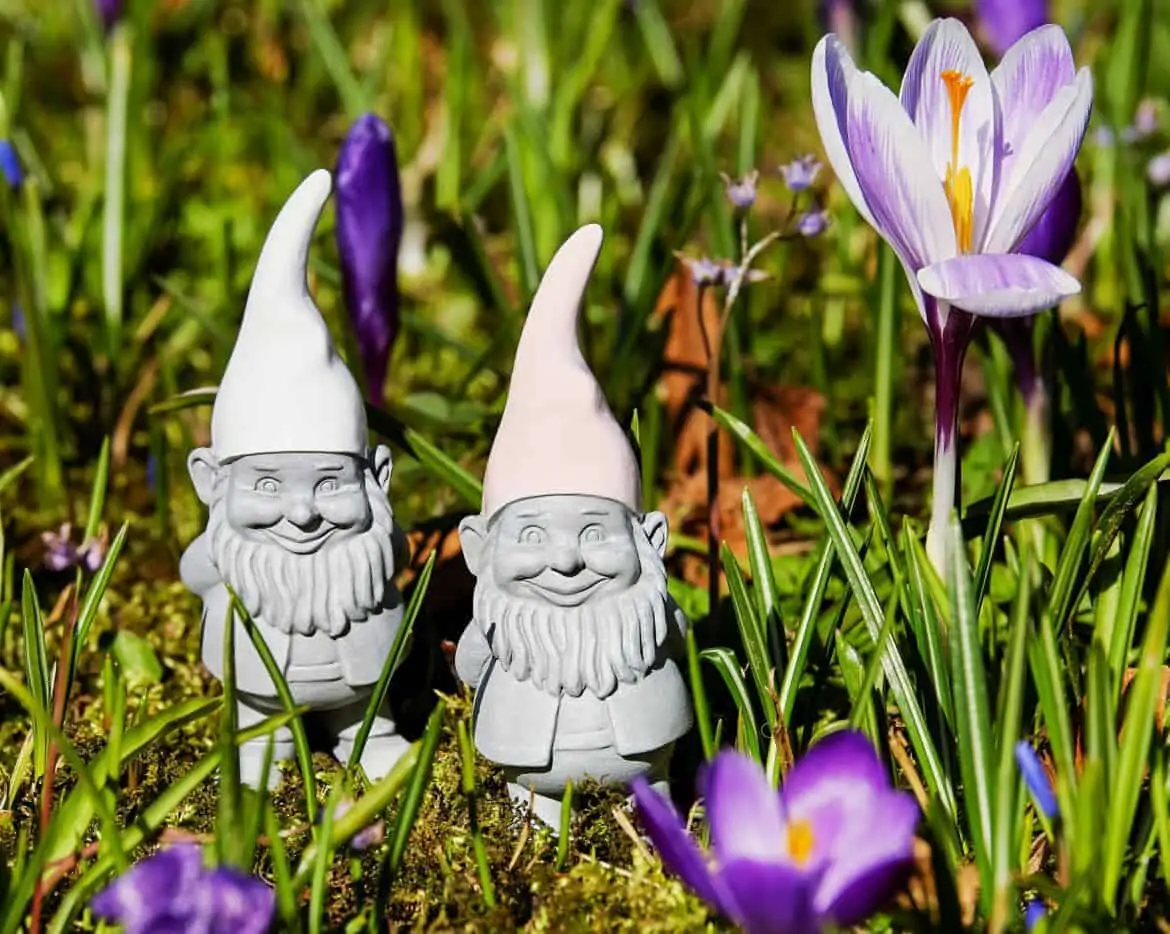 how to create the perfect gnome garden