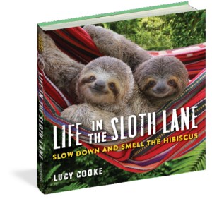 sloths