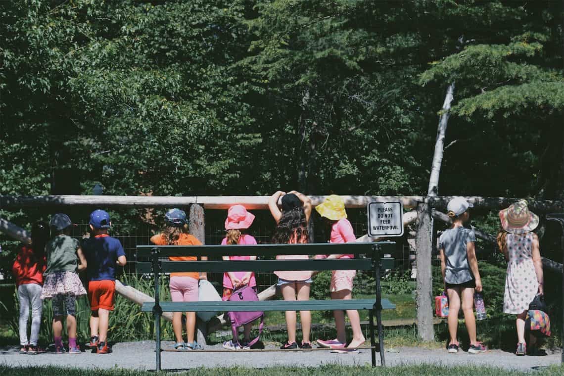children standing beside fence during daytime kids school field trip