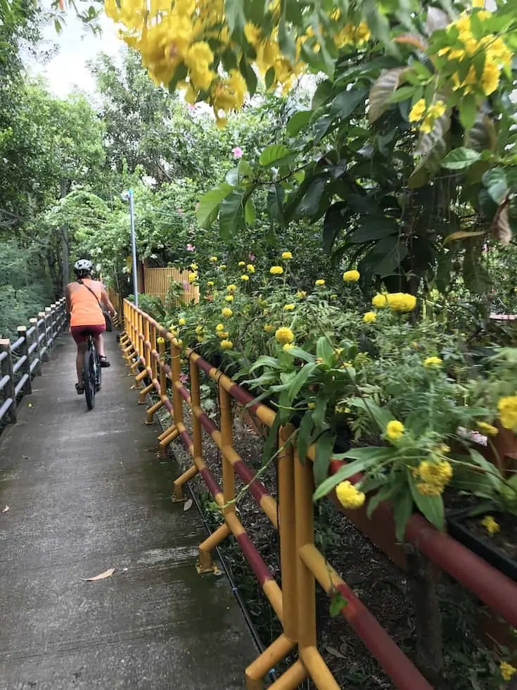 bang krachao bike path
