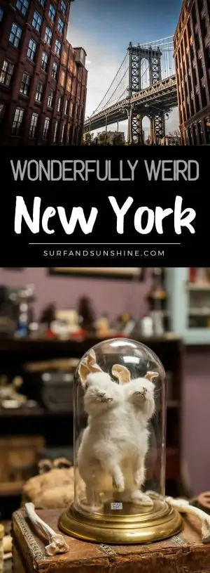 things to do and see in wonderfully weird new york custom