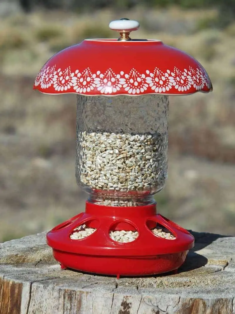 Mason Jar bird feeder