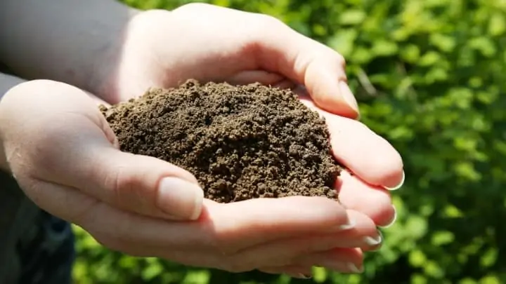 add nitrogen to garden soil