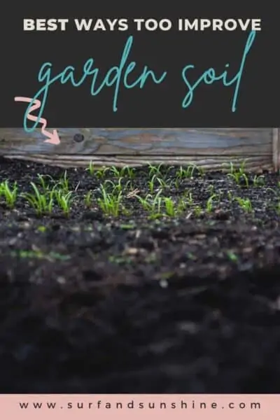best ways to improve garden soil 1