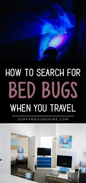 how to search for bed bugs when you travel pin 1