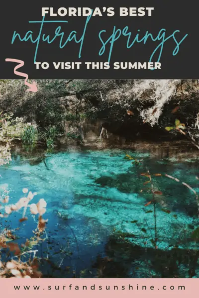 florida's best natural springs to visit this summer