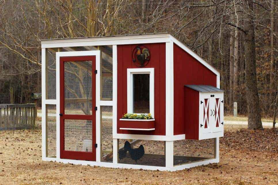 free chicken coop plans for 6 chickens with enclosed run