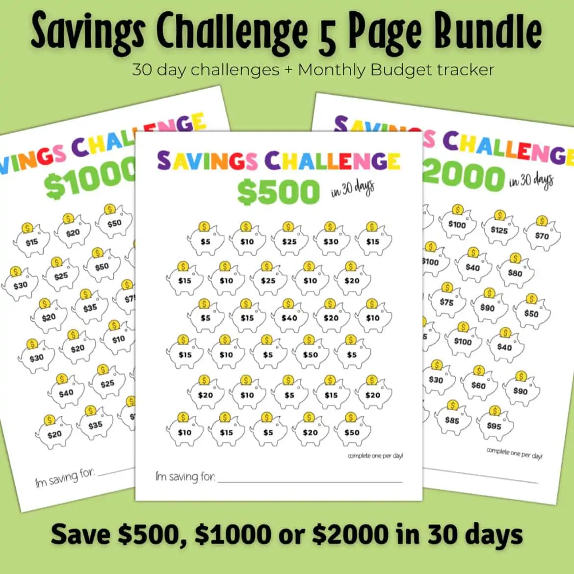 30 Day Savings Challenge Printable