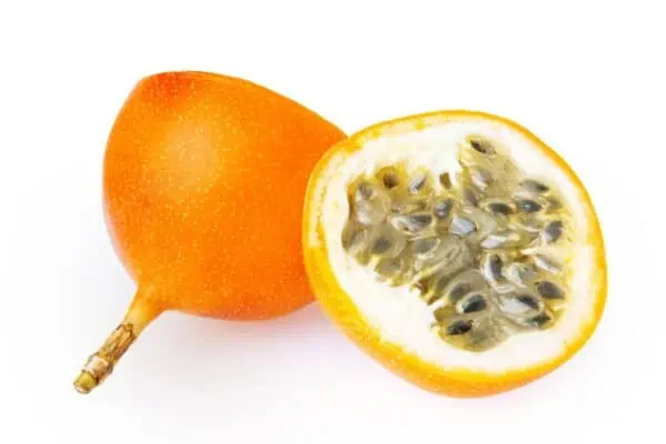 granadilla fruit -  - Sweet Granadilla, the Next Superfruit?