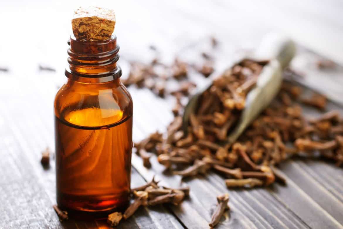 Does Clove Oil Kill Fleas?