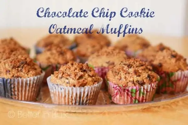 Chocolate Chip Cookie Oatmeal Muffins