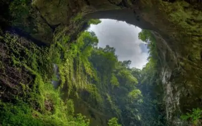 via: http://femalesintransitiontoday.com/wp-content/uploads/2013/09/El-Yunque-Puerto-Rico-cave2.jpg