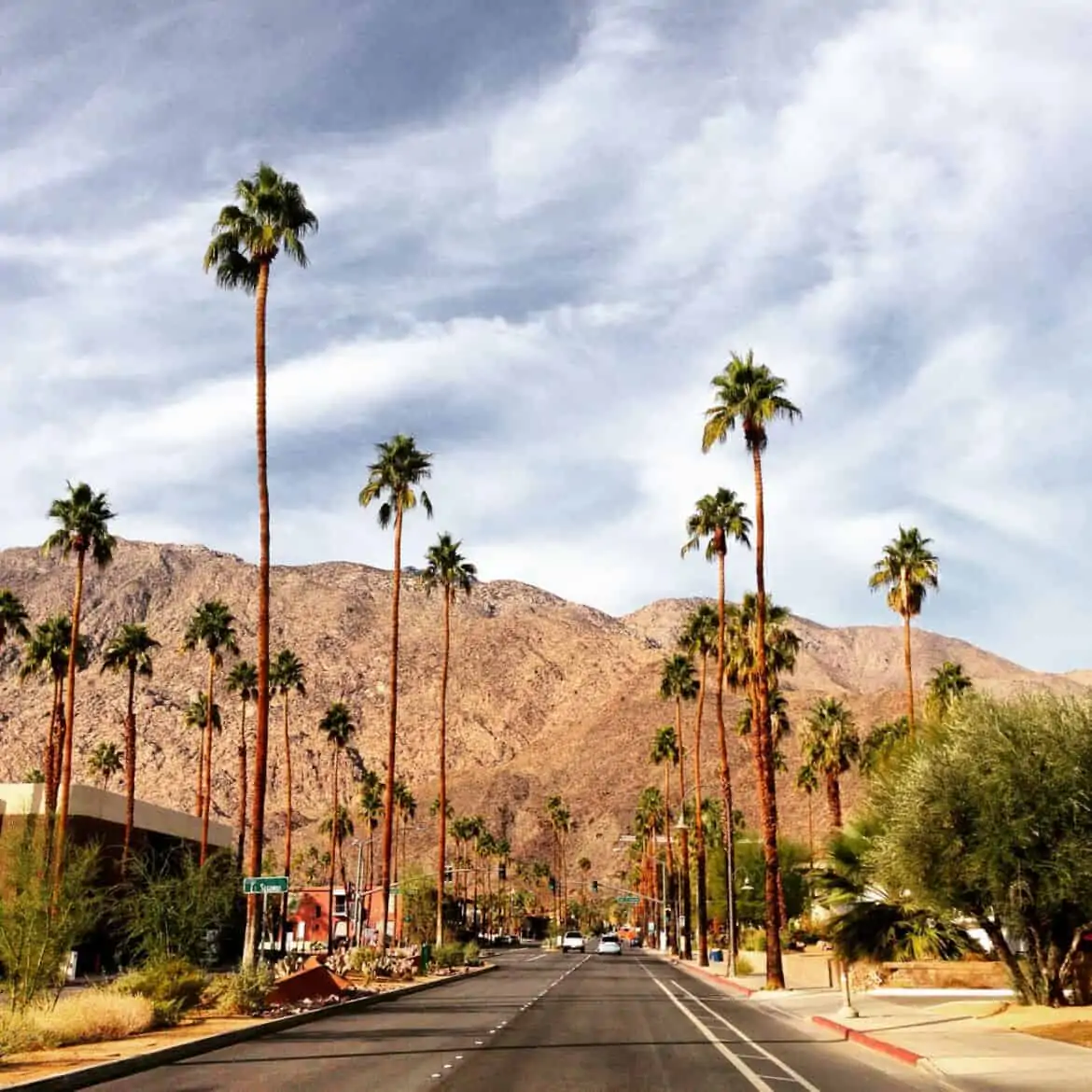 what to do in palm springs