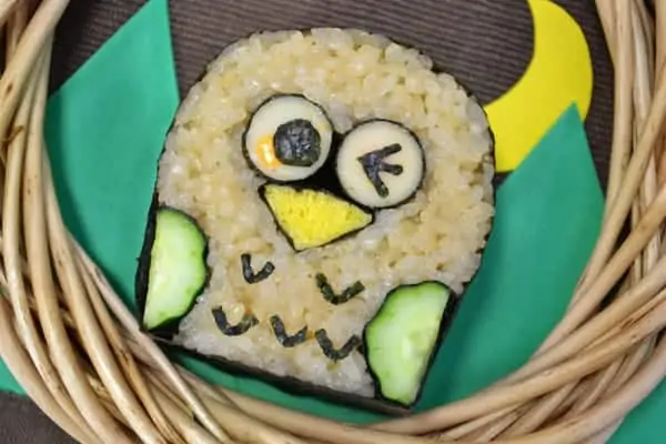 Sushi Art Owl