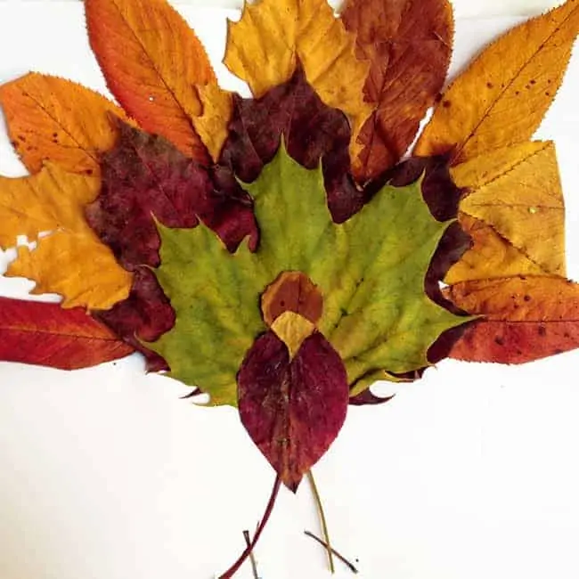 turkey craft from leaves and sticks