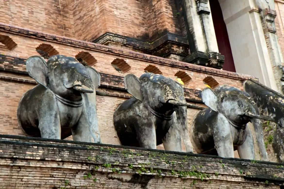 Wat Chedi Luang elephants