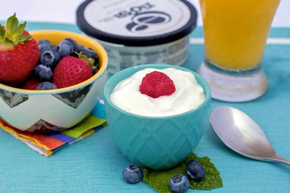 breakfast yogurt recipes 1