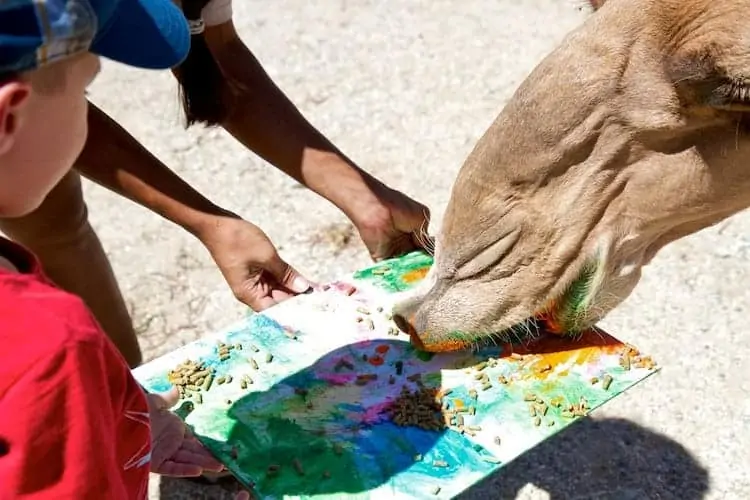 camel painting living desert 2