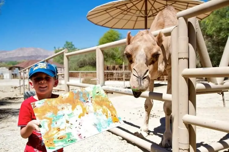 camel painting living desert 3
