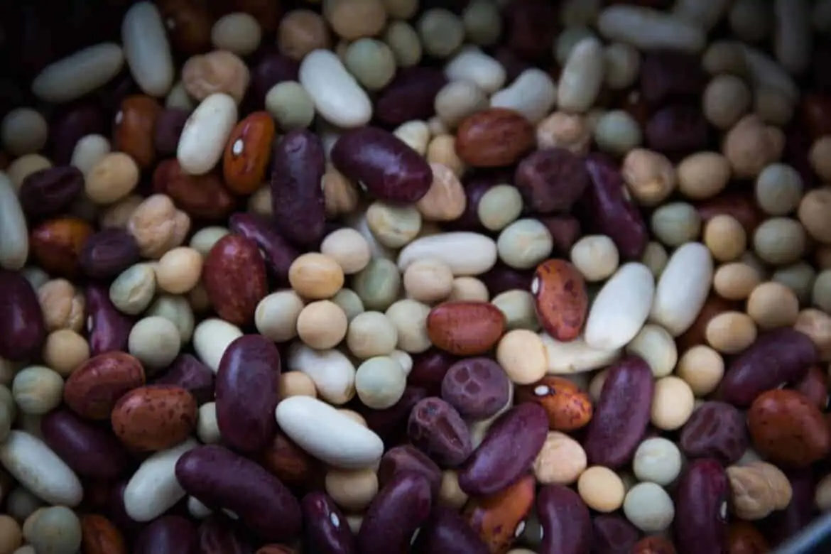 dried-beans-763158_1280