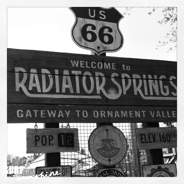 Start Your Engines, Cars Land is Off to the Races! #Disneyland