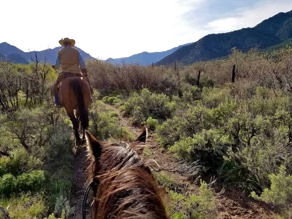 gateway canyons cattle herding horseback ride