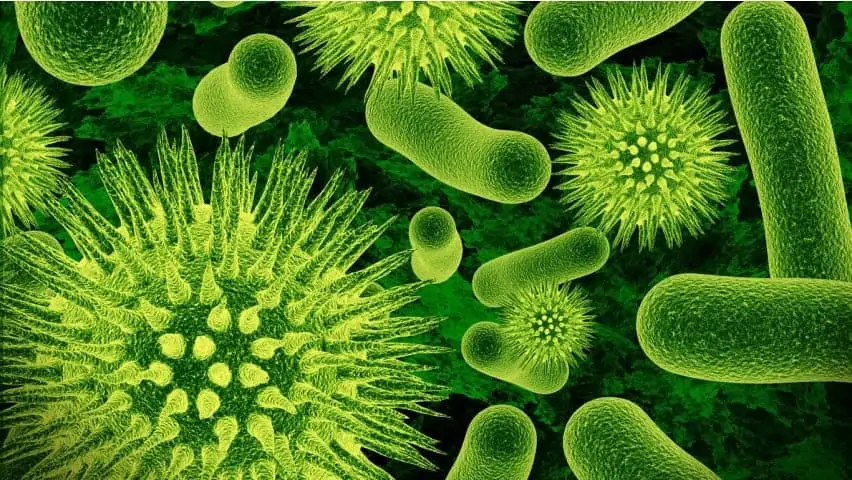 germs_or_bacteria-852x480