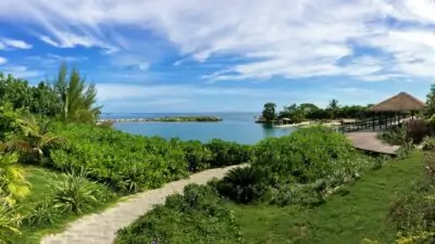 jamaica path