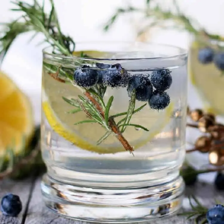 lemon blueberry vodka spritzer 10