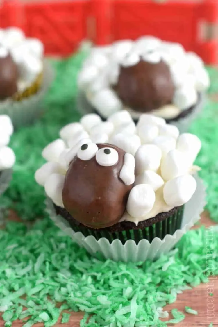 sheep cupcakes 2