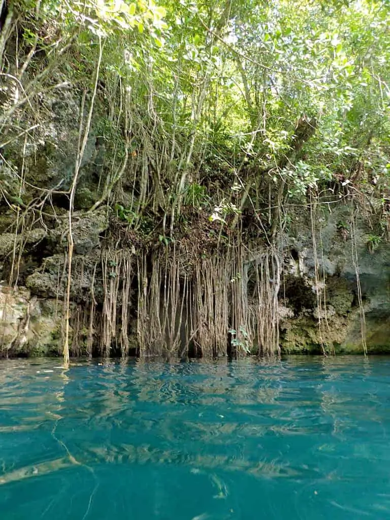xenotes cenotes caves mexico